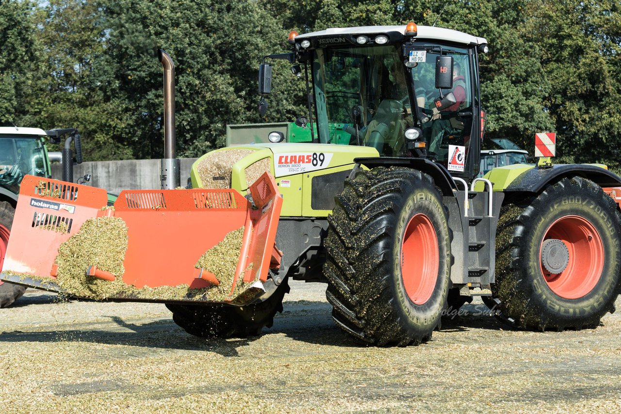 Bild 103 - Maisernte